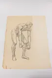Allyn Cox, Male Nude Study for Man Winching Cornerstone, Charcoal on paper