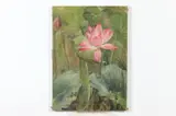 Hattie E. Burdette, Pink Water Lily, Oil on canvas is "as is" condition