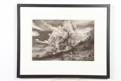 Marilyn Maxwell, Landscape, Photograph