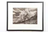 Marilyn Maxwell, Landscape, Photograph