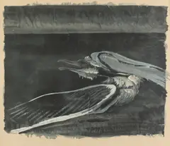 Morris Graves, The Gull, Color lithograph