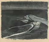 Morris Graves, The Gull, Color lithograph