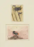 Mary Newcomb, Untitled, pencil and watercolour 12.7 x 19cm and 14 x 9.5cm
