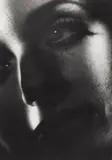 David Lynch, Face #6