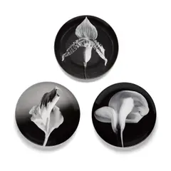 Robert Mapplethorpe, Three Plates