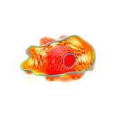 Two part 'Seaform' set by Dale Chihuly, 2002, Hand-blown glass, offered Dec 2021
