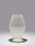 Charles Lin Tissot, Zanfirico vase