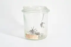 Dana Meyer, Salomonische Schneckenanker, 2012, Draht und Metall, in Weckglas