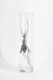 Dana Meyer, Magma Fiebermücke, 2012, Stahlblech und Glaszylinder