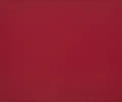 Katinka Pilscheur, "Le Rouge Mat", 2015, Nagellack auf Leinwand