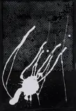 Sigmar Polke, Ohne Titel, 1989, Farbserigrafie auf Velourspapier