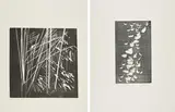 Konvolut von 2 Holzschnitten by Hans Hartung, 1973, Jeweils Holzschnitt auf BFK RIVES (Wasserzeichen), sold Nov 2022