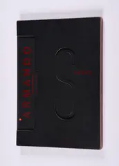 Armando, Die Leiter (Reeks), 1992, Buch mit 10 eingebundenen Lithografien auf Velin