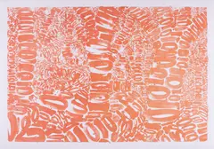 Tony Cragg, Ohne Titel, 2009, Farblithografie auf Bütten