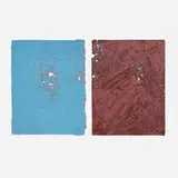 Joe Goode, Shotgun #308 (diptych)