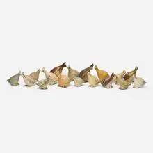 Frances Senska, Collection of seventeen Quails, glazed stoneware