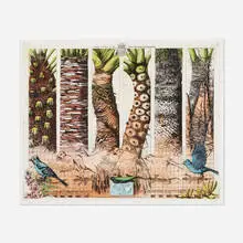 Rolf Weijburg, Flora y fauna de las Islas Canarias, etching in colors