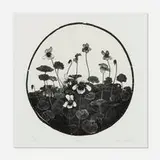 Osamu Saito, Violet, 1993, wood engraving