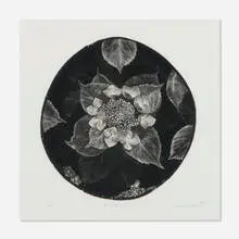 Osamu Saito, Hydrangea, 1993, wood engraving