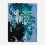 Barbara A. Robertson, Anatelle, 2000, etching in colors