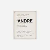 Carl Andre, Andre (exhibition catalog)