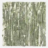 Tam Van Tran, Beetle Manifesto, 2002, pigment, binder, chlorophyll, spirulina, aluminum foil, staples, paper