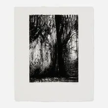 Henry Moore, The Forest, 1973, lithograph