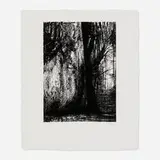 Henry Moore, The Forest, 1973, lithograph