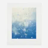 Darren Waterston, Fairy Tale VI, 1999, monoprint with hand-coloring