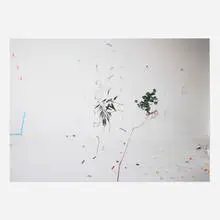 Ellen Garvens, Greens, 2018, archival inkjet print