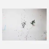 Ellen Garvens, Greens, 2018, archival inkjet print