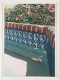 David T. Kessler, REFLECTED BLOSSOMS: PAIR, color lithograph