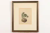 Luigi Rist, Potato Sprouts, Color woodcut