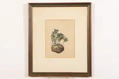 Luigi Rist, Potato Sprouts, Color woodcut