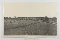 Jacques Hnizdovsky, Field, Woodcut
