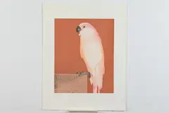 Beth Van Hoesen, Peaches, Aquatint and dry point etching