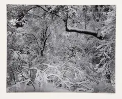 Ansel Adams, Untitled, ANSEL ADAMS PORTFOLIO VI: EIGHT OUT OF 10 GELATIN SILVER PRINTS, each signed, numbered 62/100, each with portfolio stamp on reverse mount and numbered respectively