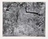 Untitled by Ansel Adams, ANSEL ADAMS PORTFOLIO VI: EIGHT OUT OF 10 GELATIN SILVER PRINTS, each signed, numbered 62/100, each with portfolio stamp, sold Jun 2019