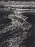 Stream by Ansel Adams, Gelatin silver print, sold Jun 2019