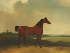 Abraham Cooper, Untitled, oil on canvas 72 x 92cm