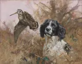 John Trickett, Untitled