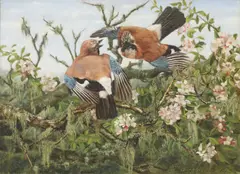 Catherine H Greig, Untitled, oil on canvas 46 x 61cm