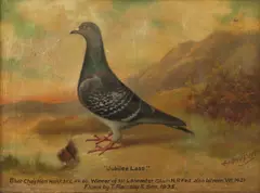Andrew Beer, Untitled, oil on canvas 40 x 40cm