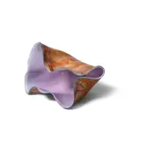 Dale Chihuly, Macchia