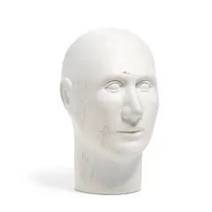 Glenys Barton, Head, porcelain, apparently unsigned