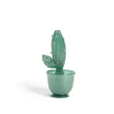 Flavio Poli, Pulegoso Cactus