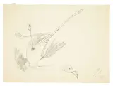 Jean Cocteau, Un Flamant
