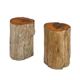 Chris Lehrecke, Near Pair of Circular Pedestals