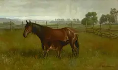 Marius Dahlgren, Mare and Colt, oil on canvas