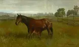 Marius Dahlgren, Mare and Colt, oil on canvas